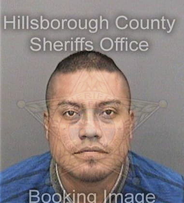 Antoniel Felix, - Hillsborough County, FL 