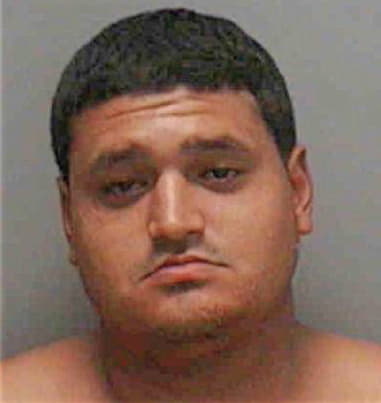 Rafael Guerra, - Lee County, FL 