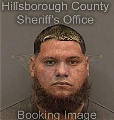 Eglier Martinez-Romero, - Hillsborough County, FL 