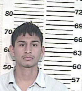 Kristopher Palomares, - Hidalgo County, TX 