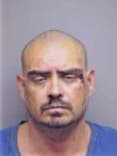 Jesus Perez, - Manatee County, FL 