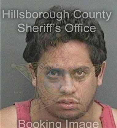 Robert Vollmar, - Hillsborough County, FL 