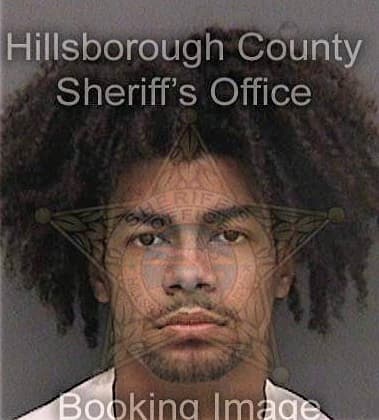 Cill Bevins - Hillsborough County, FL 