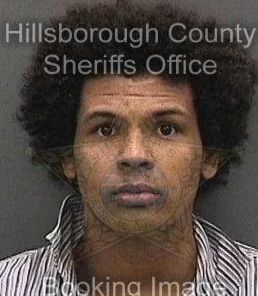 Alexander Chatters - Hillsborough County, FL 