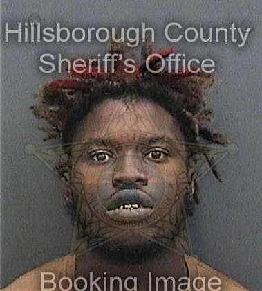 Jeffrey Dixon, - Hillsborough County, FL 