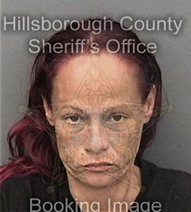 Yuris Perezserracin, - Hillsborough County, FL 