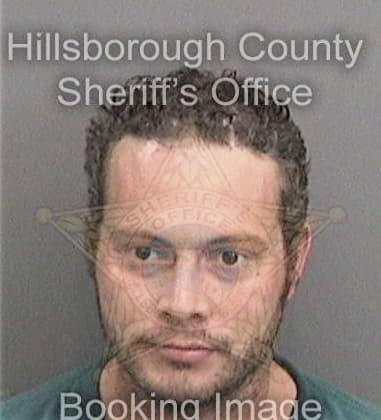 Mario Reyesperez, - Hillsborough County, FL 