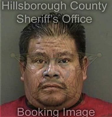 Williams Acosta-Perez, - Hillsborough County, FL 