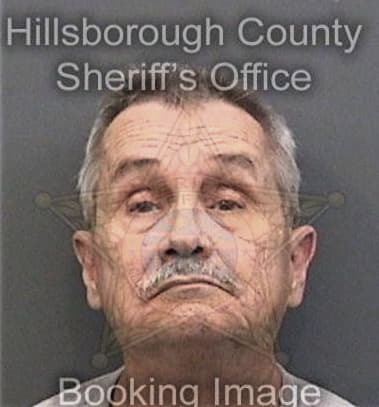 Angel Dejesus, - Hillsborough County, FL 