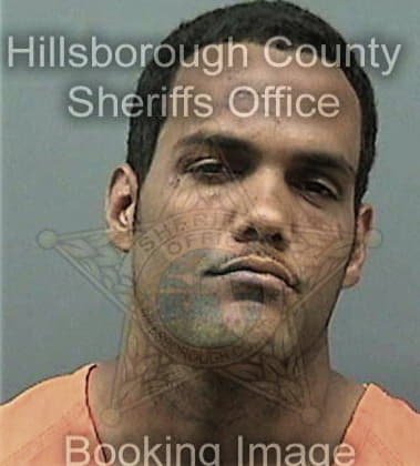 Salvador Hernandezmendez - Hillsborough County, FL 