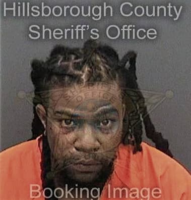 Dion Mohammed, - Hillsborough County, FL 