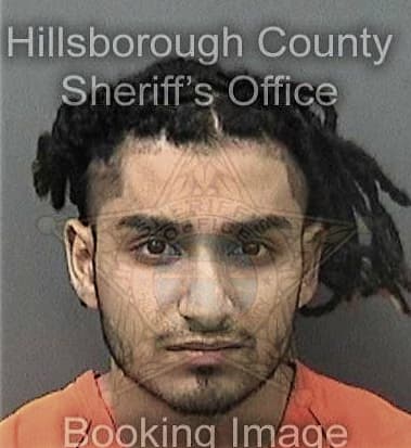 Luis Pereiro, - Hillsborough County, FL 