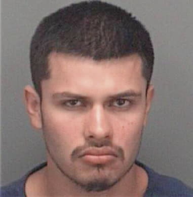 Reymundo Torres, - Pinellas County, FL 