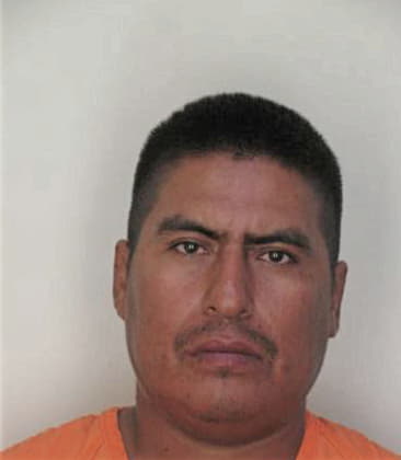 Carlos Torresdejesus, - Hillsborough County, FL 