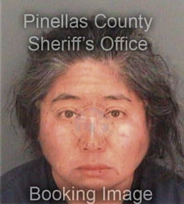 Imelda Alisasia, - Pinellas County, FL 