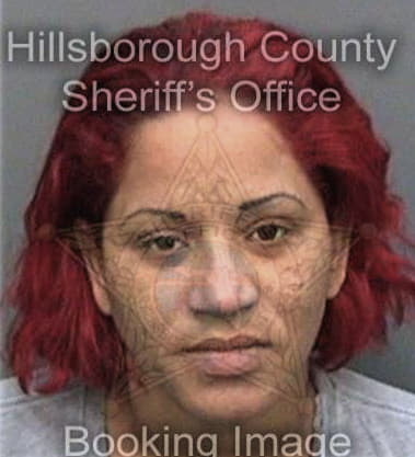 Nicole Brinig - Hillsborough County, FL 