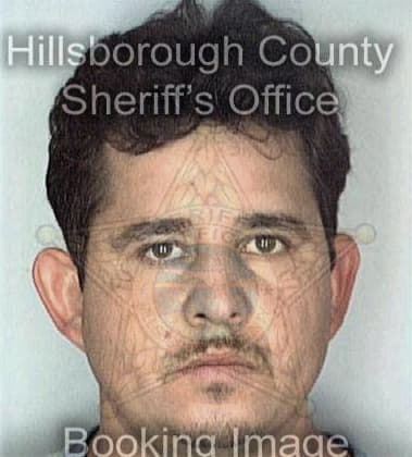 Jesus Oliva, - Hillsborough County, FL 