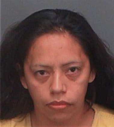 Anita Sanchez, - Pinellas County, FL 