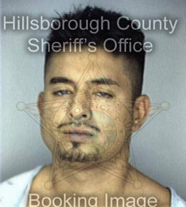 Sean White - Hillsborough County, FL 