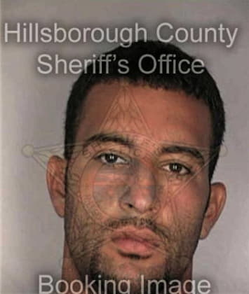 Michael Williamson, - Hillsborough County, FL 