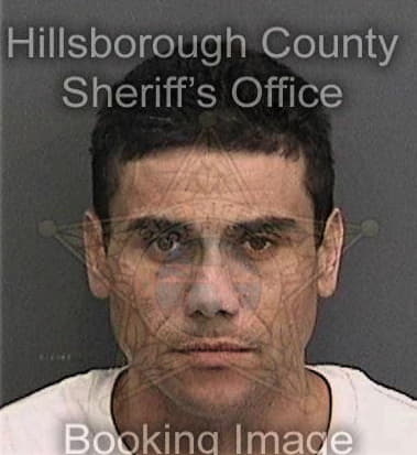 Rondall Baumgardner, - Hillsborough County, FL 