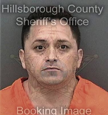 Alexander Carbajal, - Hillsborough County, FL 