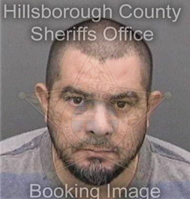 Serafin Cornejozamora - Hillsborough County, FL 