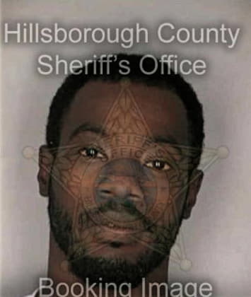 Guy Henry - Hillsborough County, FL 
