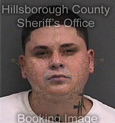 Alvaro Hernandez - Hillsborough County, FL 