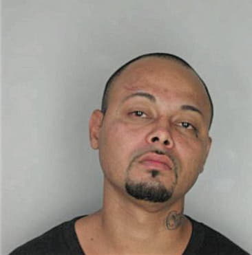 Lester Herreraherrera - Hillsborough County, FL 