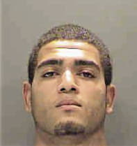 David Hollman, - Sarasota County, FL 