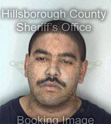 Armando Rios, - Hillsborough County, FL 