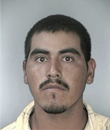 Adrian Rosalesbravo, - Hillsborough County, FL 