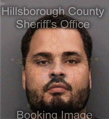 Brian Talmage, - Hillsborough County, FL 