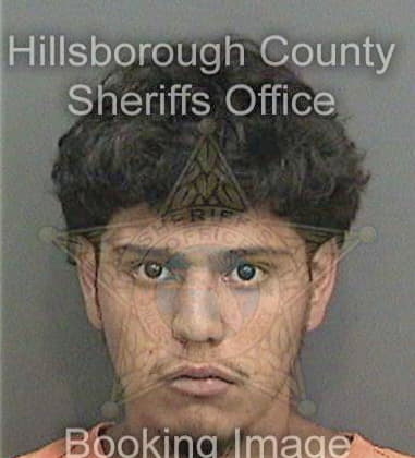 Nico Valente, - Hillsborough County, FL 