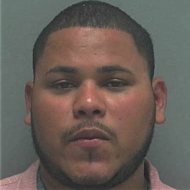 Rafael Alvarez, - Lee County, FL 