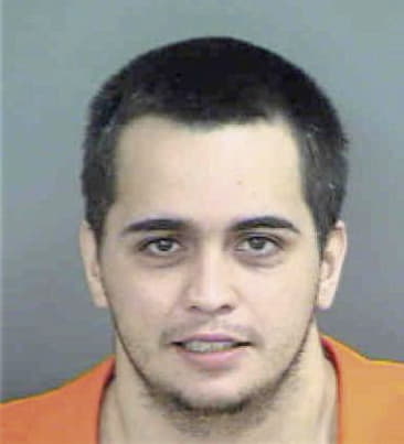 Faustino Molina, - Collier County, FL 