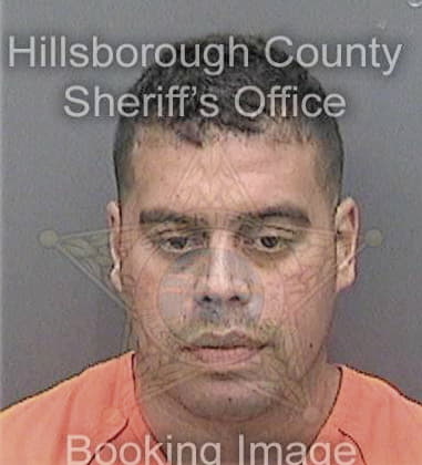 David Newcomb, - Hillsborough County, FL 