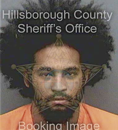 Edwin Nievesbastard, - Hillsborough County, FL 