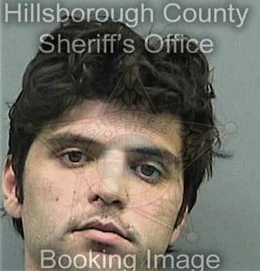 Michael Schmees, - Hillsborough County, FL 