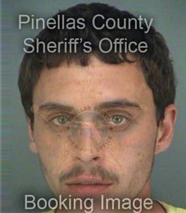 Jeffrey Finehirsh, - Pinellas County, FL 