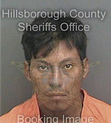 William Flynn, - Hillsborough County, FL 