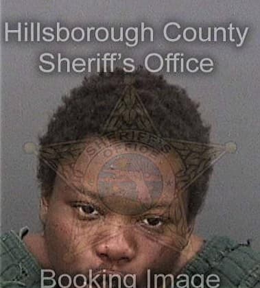 Ricardo Griffin, - Hillsborough County, FL 