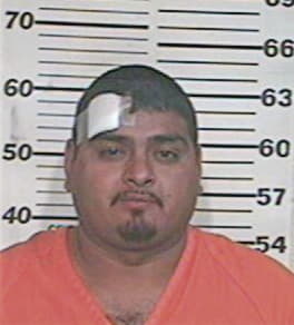 Alfredo Guerra, - Hidalgo County, TX 