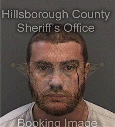 Brandon Ingwersen, - Hillsborough County, FL 