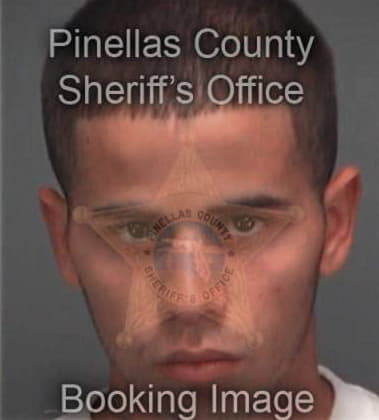 Emmanuel Leon, - Pinellas County, FL 