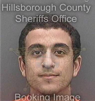Lee Mendoza - Hillsborough County, FL 