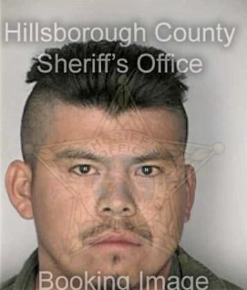 Daniel Saldona, - Hillsborough County, FL 