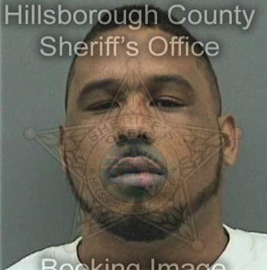 Kenneth Bradford - Hillsborough County, FL 