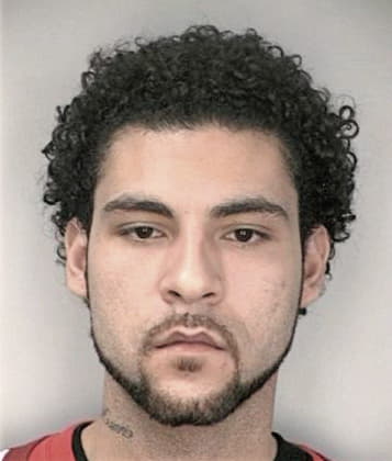 Mohamed Hefnawy, - Hillsborough County, FL 